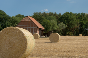 Symbolbild für Pollhöfen